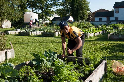 For the Good, Inc. Community Garden 
