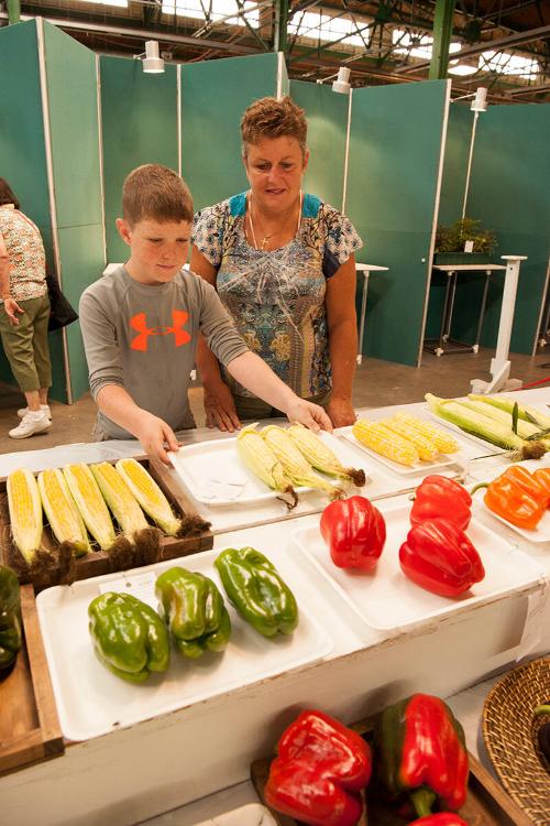 Vegetable Judging at the New York State Fair 
