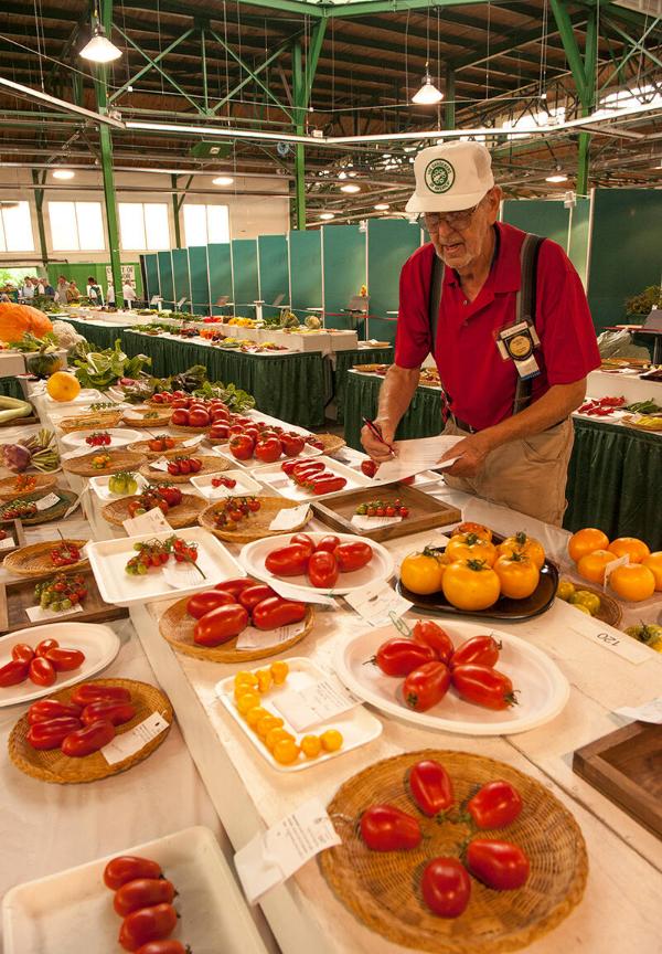 Tomato Judging at the New York State Fair 

