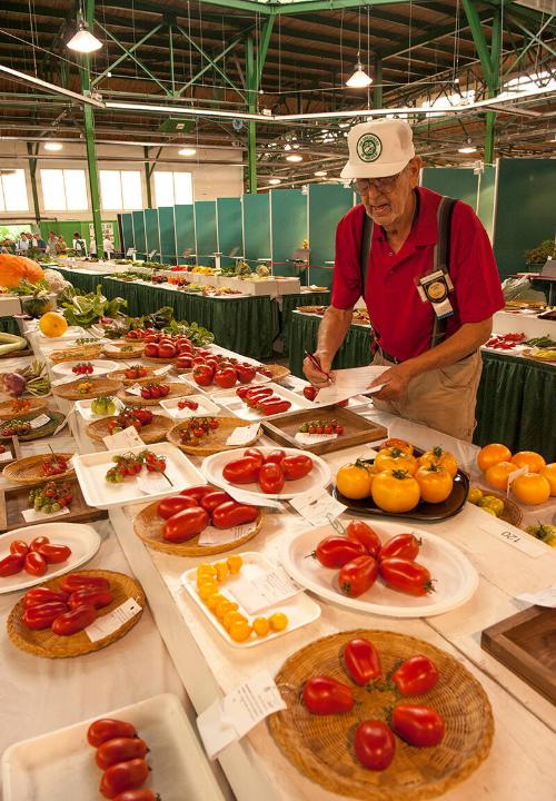 Tomato Judging at the New York State Fair 
