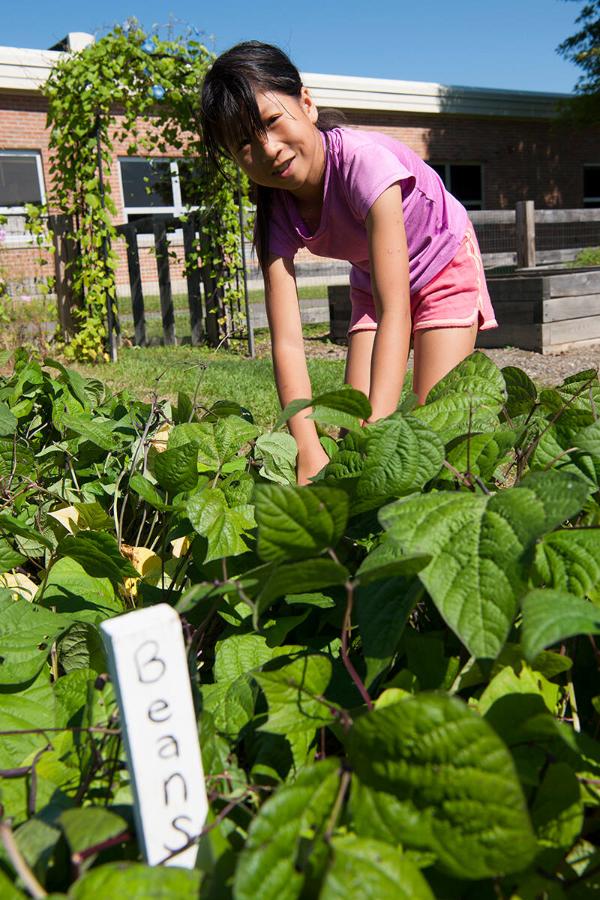 Cooperstown Elementary Kid Garden 

