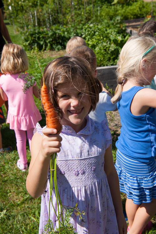 Kid Garden Carrots 
