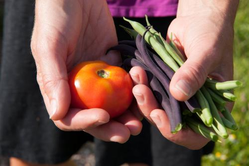 Tomato and Green Beans 
