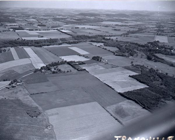 Farm Scenes