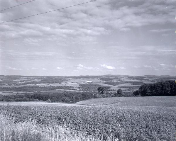 Farm Scenes