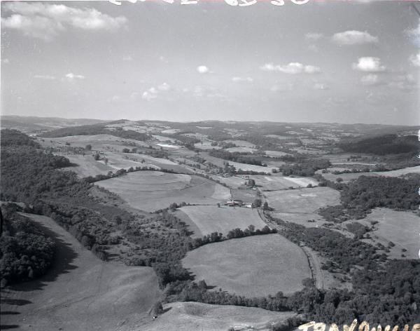 Farm Scenes