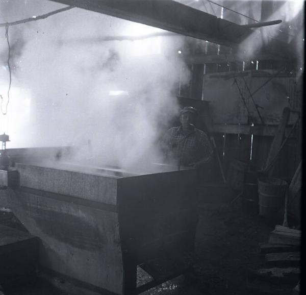 Maple Sugaring