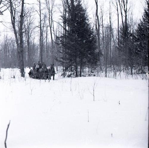 Maple Sugaring