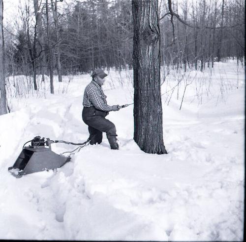Maple Sugaring