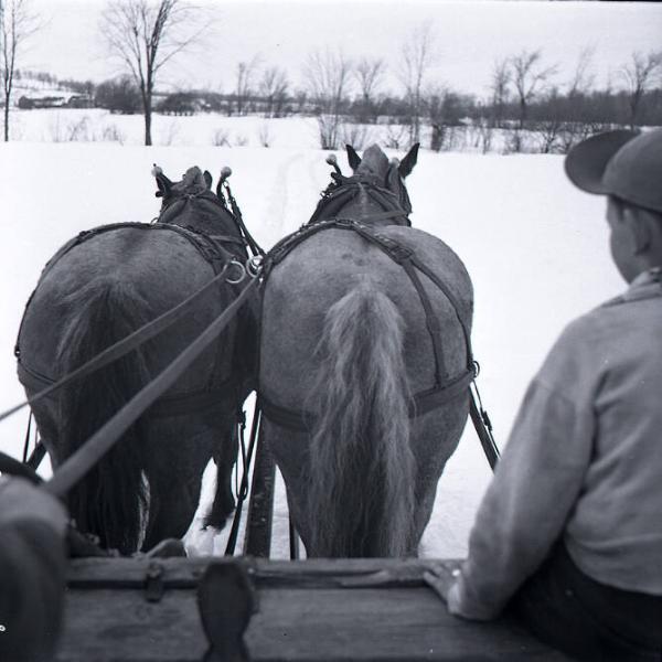 Maple Sugaring