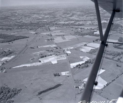 Farm Scenes