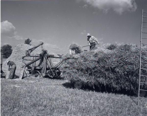 Farm Scene