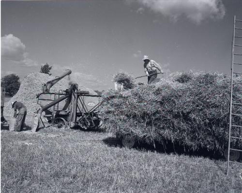 Farm Scene