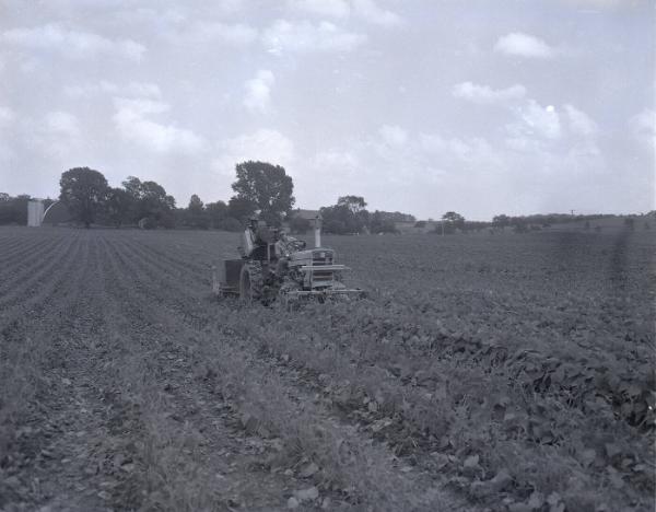 Farm Scene