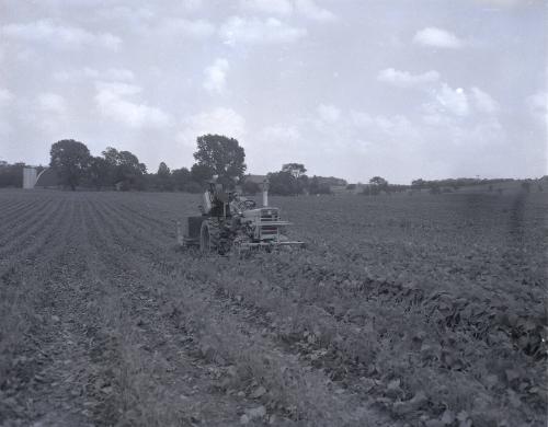 Farm Scene
