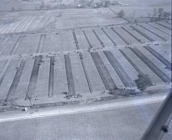 Farm Scene