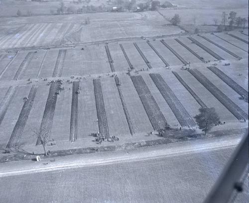 Farm Scene