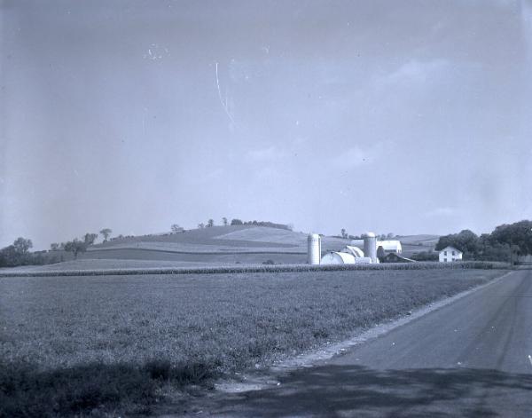 Farm Scene