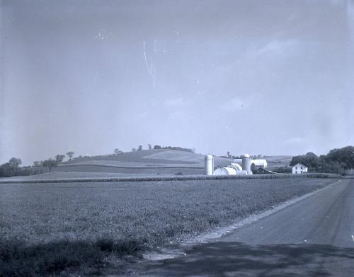 Farm Scene