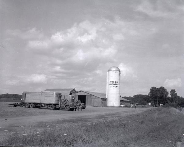 Farm Scene