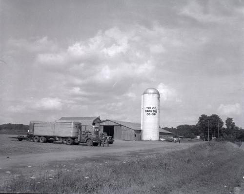 Farm Scene