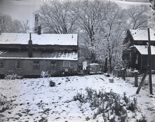 Winter Scene