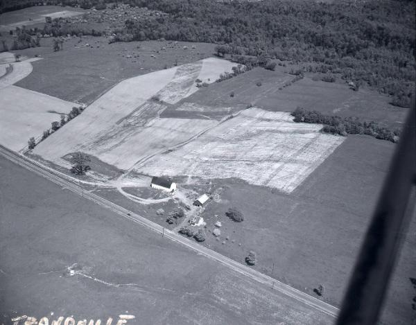 Farm Scene