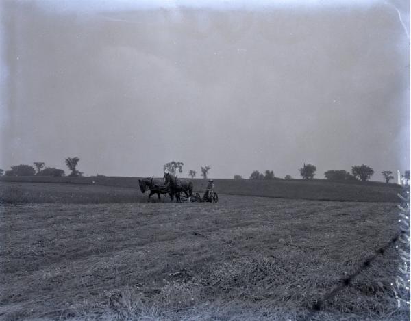 Farm Scene