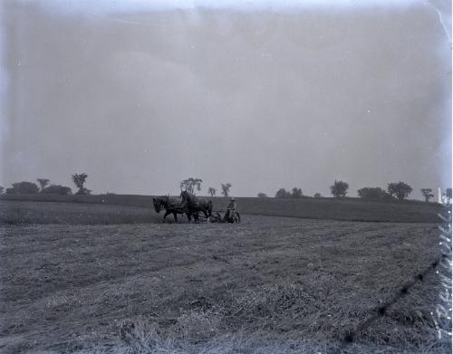 Farm Scene