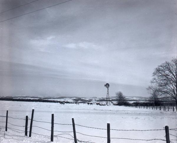 Farm Scene