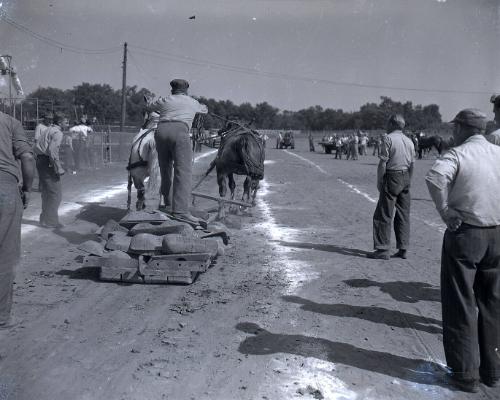 Farm Scene
