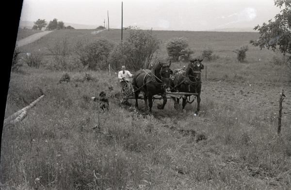 Farmer Charlie Tanney