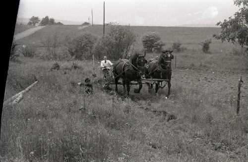 Farmer Charlie Tanney