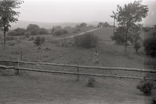 Farmer Charlie Tanney