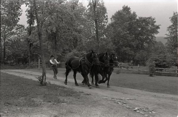 Farmer Charlie Tanney