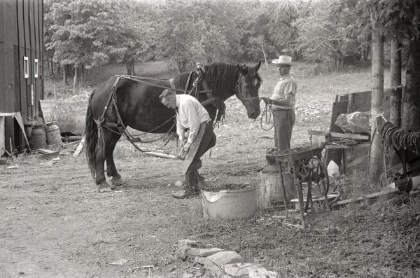 Farmer Charlie Tanney