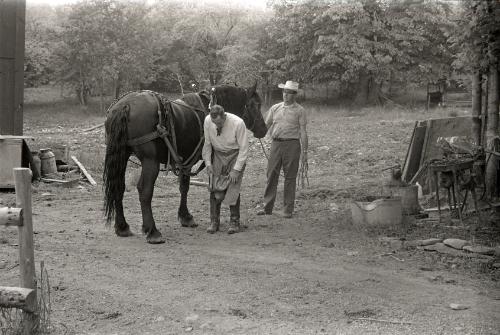 Farmer Charlie Tanney