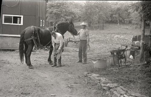 Farmer Charlie Tanney