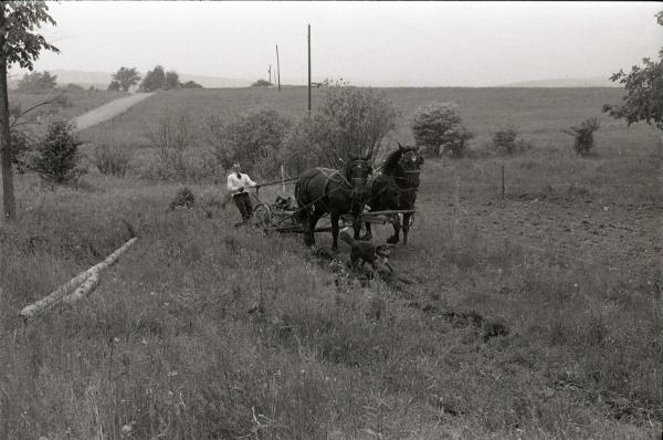 Farmer Charlie Tanney