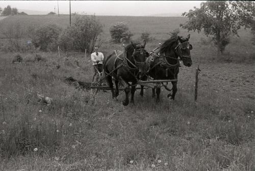 Farmer Charlie Tanney