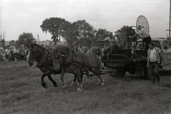 Horse Pulling at Boonville Fair