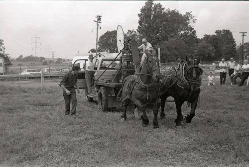Horse Pulling at Boonville Fair