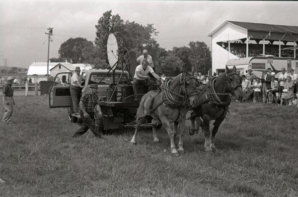 Horse Pulling at Boonville Fair