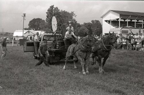 Horse Pulling at Boonville Fair