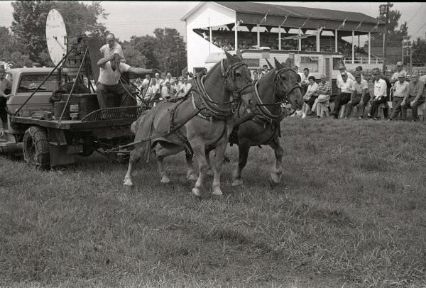 Horse Pulling at Boonville Fair