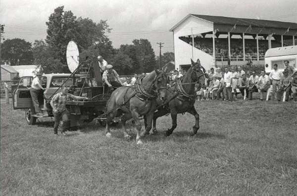 Horse Pulling at Boonville Fair