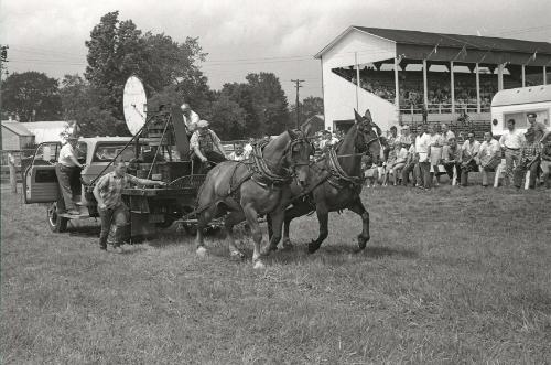 Horse Pulling at Boonville Fair