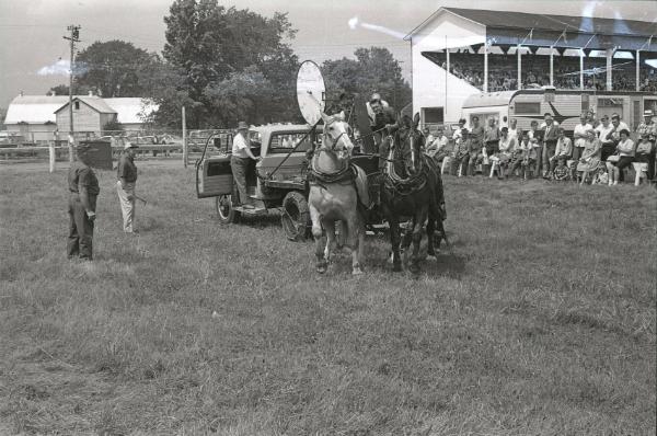 Horse Pulling at Boonville Fair