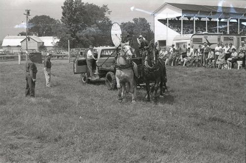 Horse Pulling at Boonville Fair