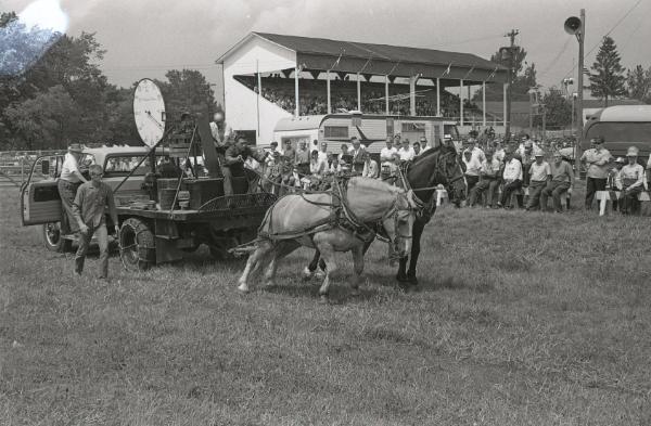 Horse Pulling at Boonville Fair